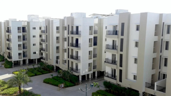 Jains Alpine Meadows